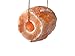 Himalayan Salt Lick Block for Horses and Livestock, 4-5 lbs Each, 4 Pack, Pink