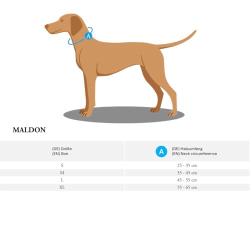 Hunter Halsband Maldon, Farbe: orange, atmungsaktives Mesh, Robustes Nylon, lautlos & allergikerfreundlich, Zugentlastung, integriertes Adresslabel, besonders leicht, Größe: M