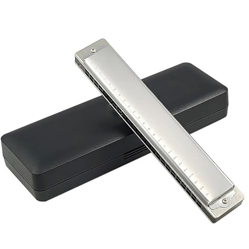 n[jJZbg gn[jJ 24 48g[ CL[ n[jJ vtFbVi }EXIK SҌ y(Silver,BB Tone)