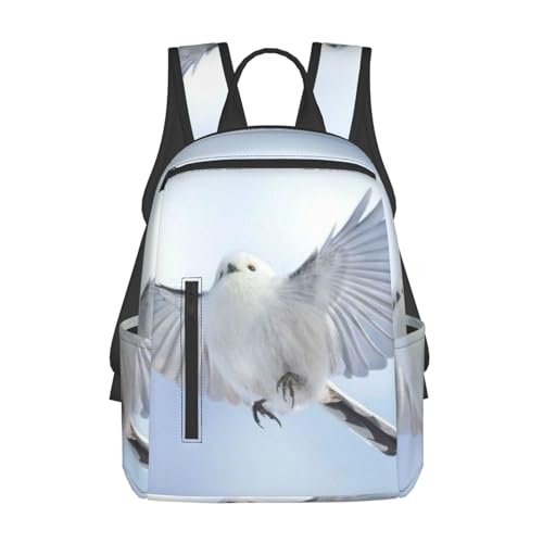 lC VvŃJWAȃhZ 킢 2 obNpbNʊw ΂ s bN e y @\ ʗp hZ