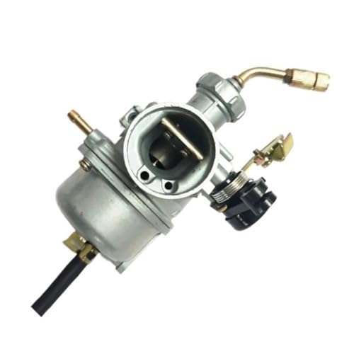 Carburateur 4 temps B175 idéal pour l'entretien du jardin au printemps