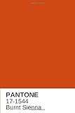  Burnt Sienna Red Orange Pantone Color Notebook Journal or Notepad Diary: Wide ruled lined 6” x 9” and 120 white pages