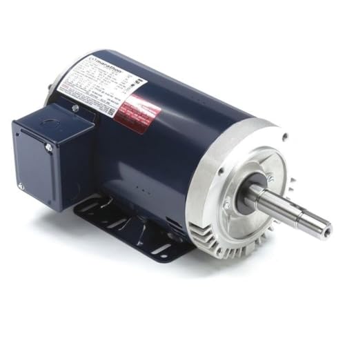 Leeson Close-Coupled Pump Motor image