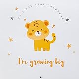 Joss & Lac Design Calendrier de première année pour bébé avec autocollants – Enregistrez chaque moment spécial pour bébés garçons et filles (petit guépard)