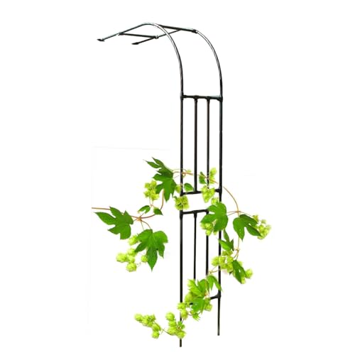 Arche de jardin en treillis noir 220x240cm cadre en acier