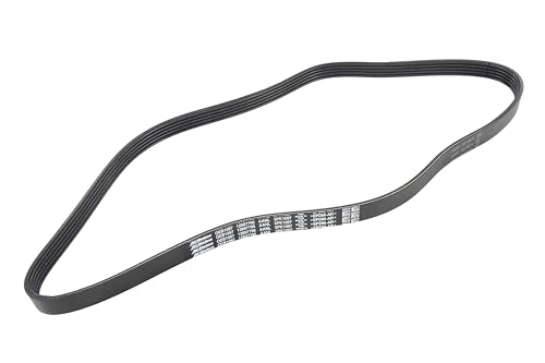 Courroie primaire GM 12697795 entraînement accessoires moteur thermique