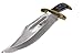 Wild Turkey Handmade Western Outlaw Bowie Knife (CW)