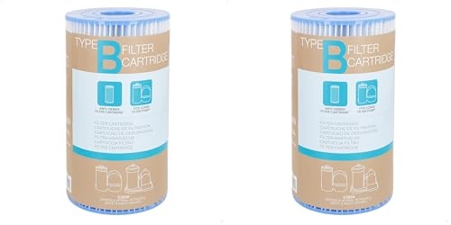 Intex - 29005 - Cartouche De Filtration B (Lot de 2)