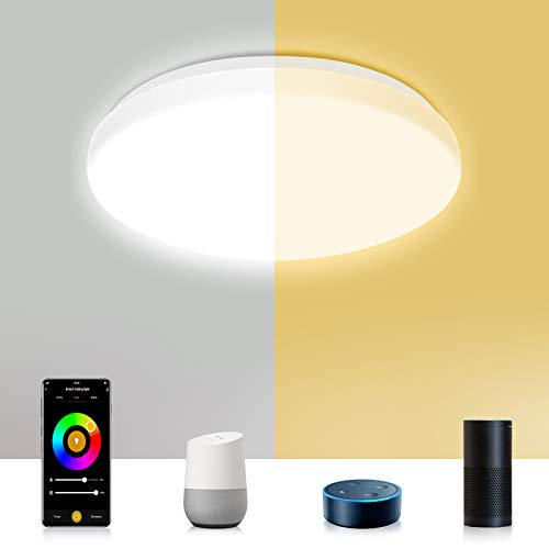 Plafón LED Techo Alexa Lámparas LED Techo WiFi, Etersky Plafon RGB Inteligente con RGB+CW+WW, Compatible con Alexa, Google Home, Control APP, 2700-6500K, 24W IP54, 2400LM, para Cocina Baño Balcón