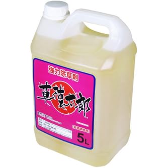 ͂ꑾY 5L 4{Zbg _knp