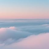  Soft Horizons
