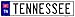 Tennessee Novelty Metal European License Plate Tag EP-110