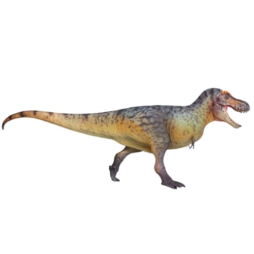 HAOLONGGOOD 1/35TCY eBmTEX tBMA 33cm TbNX T-REX brދ A PVC vf 낵 ͌^ RNV i Be av[g h u  (HLG160-u[)