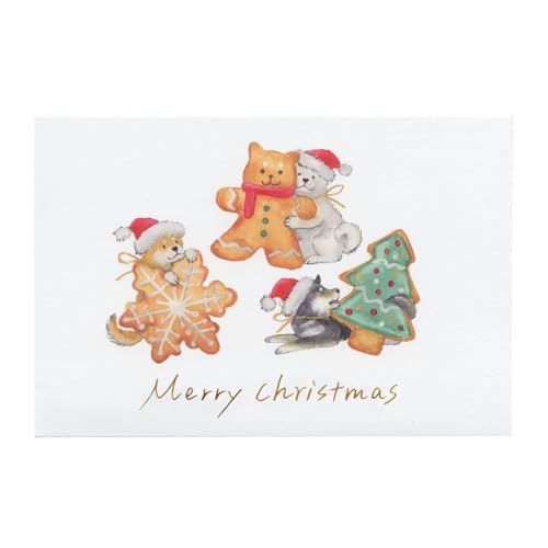 |XgJ[h ΂ʂƃNX}X cĉ yNbL[z킢 CMP-389