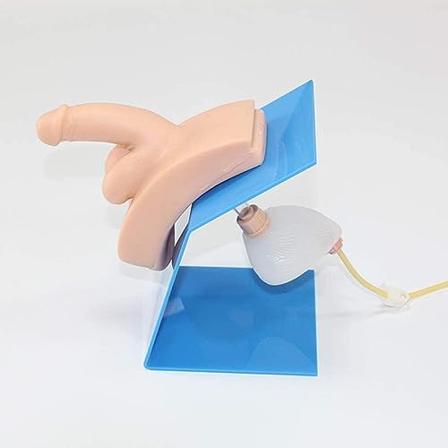 Cathétérisme masculin modèle de simulateur médical pour pratique intuitive des soignants - 6