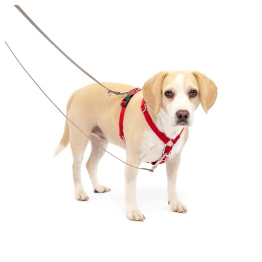 PetSafe Sure-Fit Harness, Adjustable Dog Harness from the Makers of the Easy Walk Harness, RED, MEDIUM