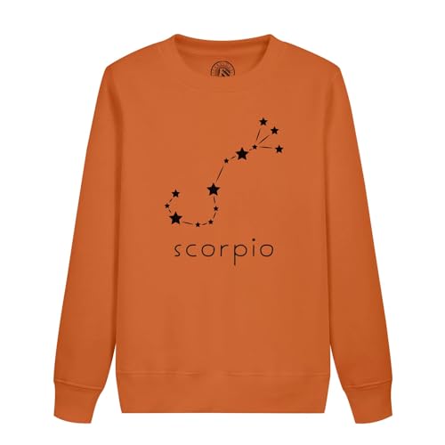 Sweatshirt enfant Scorpio cadeau anniversaire signe astrologique