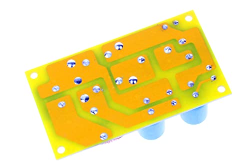NOYITO DC LC Filter DC EMI Power Filter 0 to 50V 2A 4A 10A 20A Filtering Board (2A)