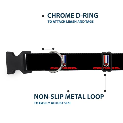 Collier pour chien réglable avec boucle clip Camaro robuste