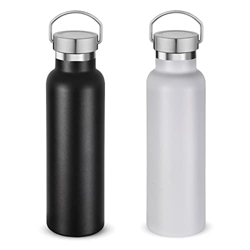 Neihepal 20 oz Insulated Water Bottles Bulk 2 Pack,Stainless Steel Double Wall Sport Bottle with Lid of Handle,Metal Reusable Thermoses Flask for School,Cyclists,Hikers,Gift (Mix,Set of 2)