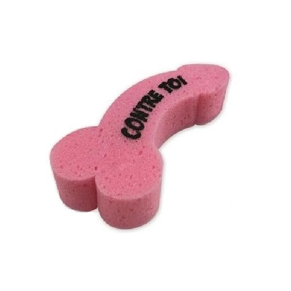 Maelsa® Farce et Attrape - Tout Tout Tout Vous AUREZ Tout sur Le Zizi - pour Les Accros du Zizi, Cadeau Anniversaire, Noël, EVJF (Eponge de Bain Zizi)