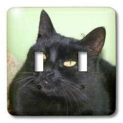 Interrupteur double chat noir pour remplacer une plaque murale unie et masquer les traces