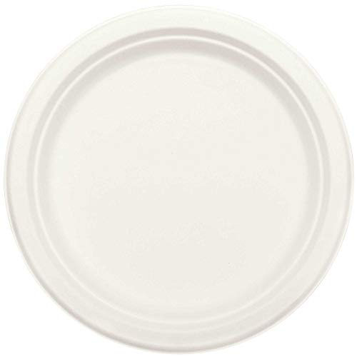 Assiettes jetables blanches amscan de 50 pièces pour repas et buffet