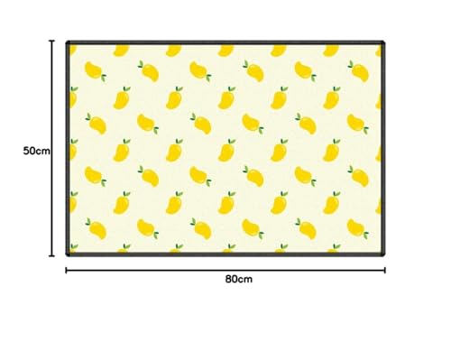 Tapis cuisine devant évier : la solution sol propre avec ce paillasson lavable