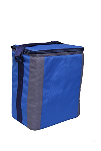 Image of BagsRUs Polyester 12 L Royal Blue Insulated Travel Cooler Bag with Ice Pack