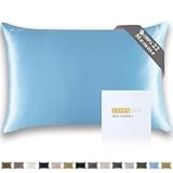 ZIMASILK Funda de Almohada de Seda Morera 100% Pura de 22 Momme para Cabello y Piel, Azul Cielo)