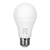 Dusk to Dawn Light Bulb Warm White