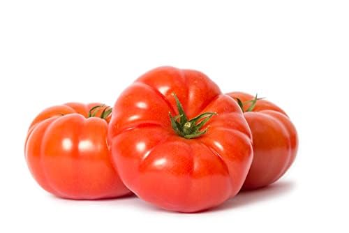 Tomato Plants - 'Beefsteak' - 6 x Large Plug Plant Pack - Tomato Plants Ready to Plant - Outdoor Plants - Tomato Plug Plants - Garden Ready + Ready to Plant - Premium Quality Plants