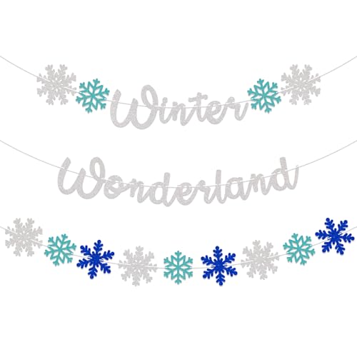 Winter Wonderland Banner Snowflake Birthday Baby Shower Party Decorations Wonderland Theme Winter Baby Birthday Supply Blue Silver Glitter
