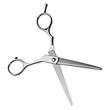 HAMPPLIES 理髪用ステンレス製丈夫なヘアカットシザー 軽量で扱いやすいヘアトリミングツール プロも初心者も使える髪切り鋏