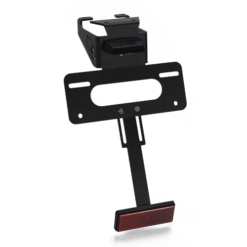 Support Plaque Z900 sans LED pour Remplacer Garde-Boue Encombrant