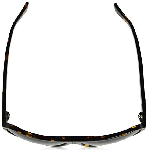 Black Flys Unisex-Adult Sunglasses, Shiny tort, 624