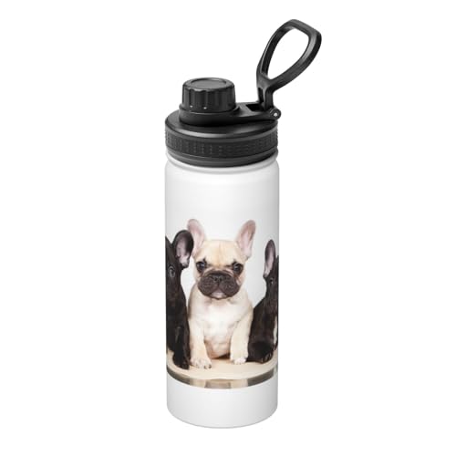 ���� �t�����`�u���h�b�O �A�j�� �^��f�M �ۉ� �ۗ� �X�|�[�c�{�g�� �l�C �X�e�����X�{�g�� �X�|�[�c�����Ή� �R��Ȃ� ������530ml �j�̎q ���̎q ������� ��l �q�� �O�b�Y �L�����N�^�[ �G�� �v���[���g