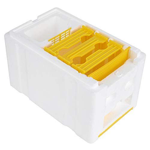 Greensen Caja de Espuma de Apareamiento de la Reina Herramienta de Cría de Reproducción Duradera para Apicultores Apis Melliferachines Bee Queenpet Group Minilight