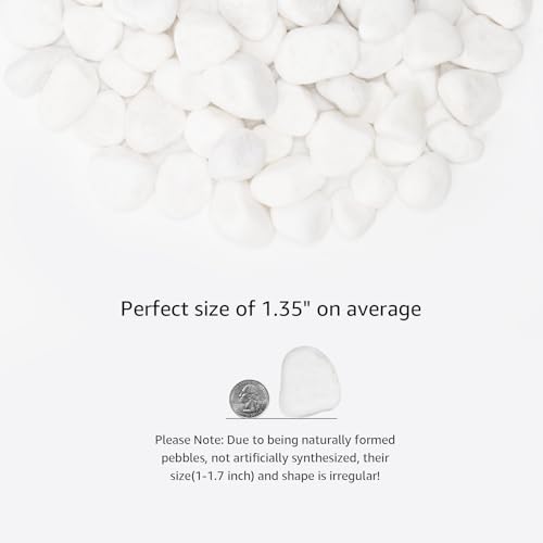 Image of White Natural River Rocks, 1-1.5 Inch Decorative Stones for Plants, Garden, and Landscaping - 10LB, Ideal for Fish Tanks, Vases, Crafting, Home Decor, and Outdoor Landscaping