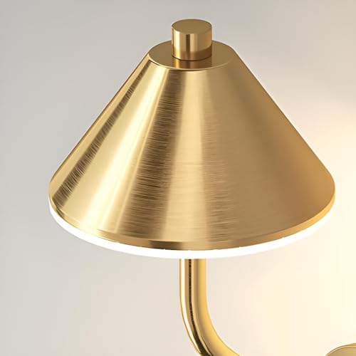 Image of FILLISKA Luxurious LED Wall Lamp for Home with Adjustable Colour Changing Function (Luxurious DoubleGold-456)(1 Year Warranty)