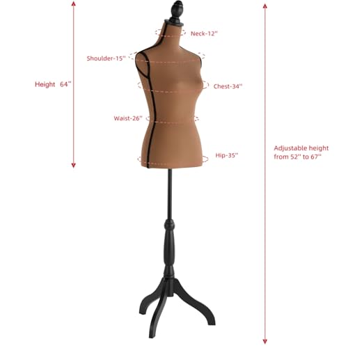 DRDINGRUI Female Mannequin Torso with Stand, Height Adjustable Dress Form with Tripod Base for Jewelry Display Bronze