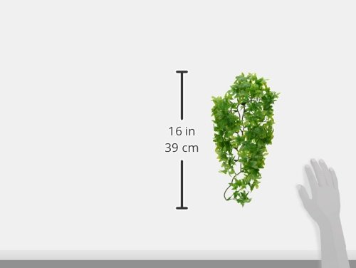 Zoo Med BU-22 Laboratories Szmbu22 Natural Bushy Congo Ivy, Medium thumb #1