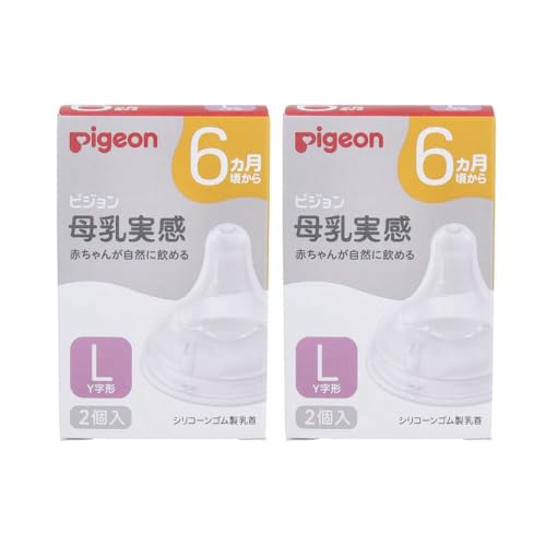 y܂ƂߔzsW  6 LTCY Y` 2?2Zbg b`IC RɈ߂ ςƕp 玙 (vF4)