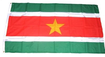 Fahne/Flagge Surinam 90 x 150 cm Flaggen