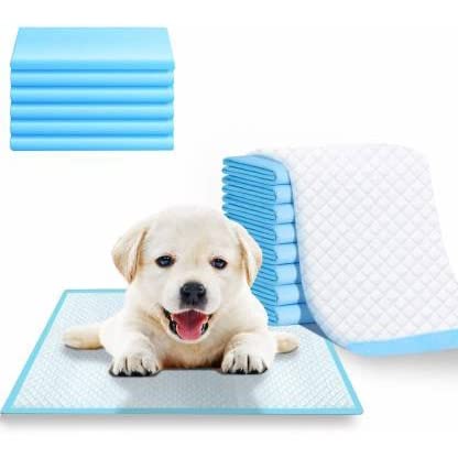 Set PET 25 PCS Pack Leakage Proof Training Pads, Dog Pee pad- 60 x 90 Cm Disposal Size ESTRA Large (B09X22KY9N) Amazon Price History, Amazon Price Tracker