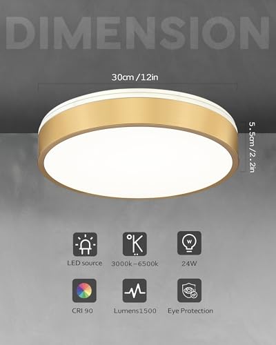 Image of Ken & Ricky 12 inch Modern Flush Mount Ceiling Light,Brush Gold,1 Pack