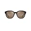 Matte Dark Havana/Hcl Bronze Polarized