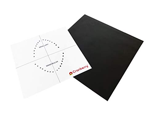 Cranberry Usa Cr8266 Carbon Dental Dam Latex Powder-Free, Spearmint Scented, 6X6, Black (Pack Of 36) #TOP2