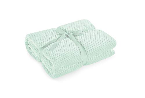DecoKing Kuscheldecke 70x150 cm Pfefferminze Decke Microfaser Wohndecke Tagesdecke Fleece weich sanft kuschelig skandinavischer Stil Minze Henry