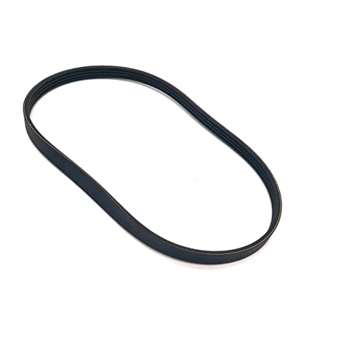 Courroie PJ787 pour machine à laver | 15 ribs et 787 mm de longueur